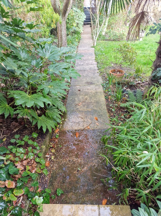 Dirty Limestone Patio Before Cleaning Lincoln